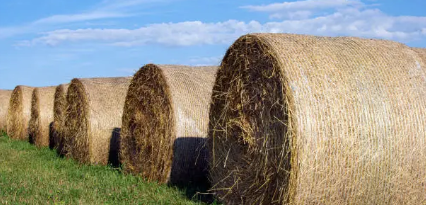 Net Wrap for Hay Baling Efficiency in Australia’ A Practical Guide for Farmers